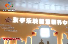 �������ɷ��ŵ����人��ͤ������ʱks�ǻ���������